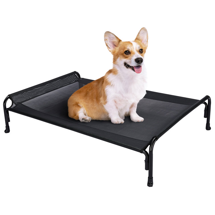 Elevated dog cot bed clearance